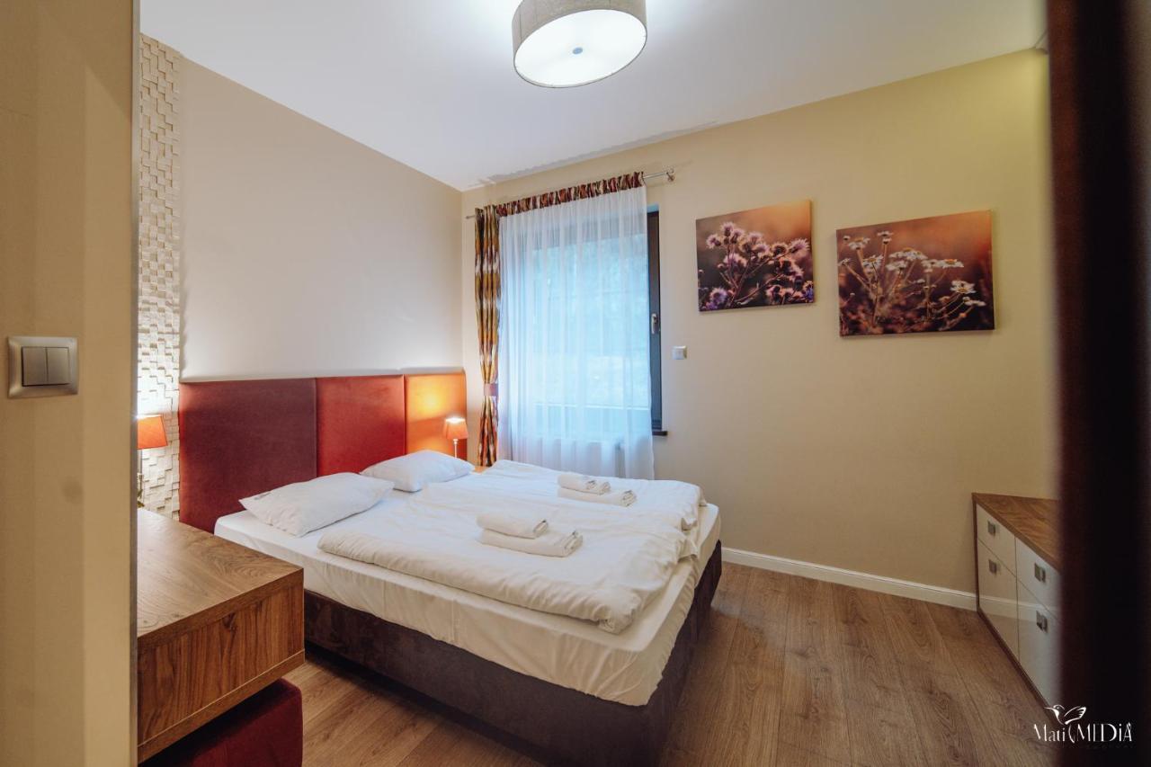 Dolina Wikingow Apartament Oye 09 Szklarska Poręba Εξωτερικό φωτογραφία